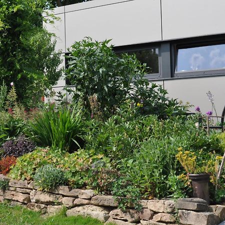 Apartment Am Eck Schmolln  Екстер'єр фото