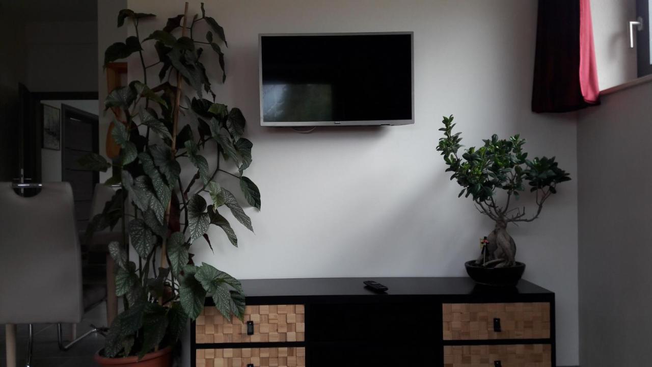 Apartment Am Eck Schmolln  Екстер'єр фото